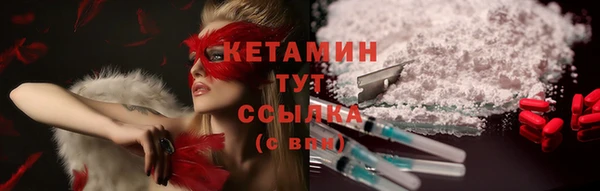 шишки Осташков