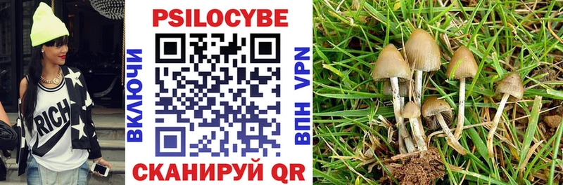 купить наркотики цена  Сыктывкар  Галлюциногенные грибы мицелий 