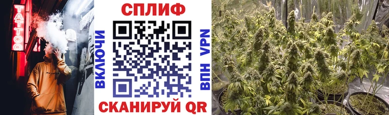 где продают   Сыктывкар  Бошки Шишки OG Kush 